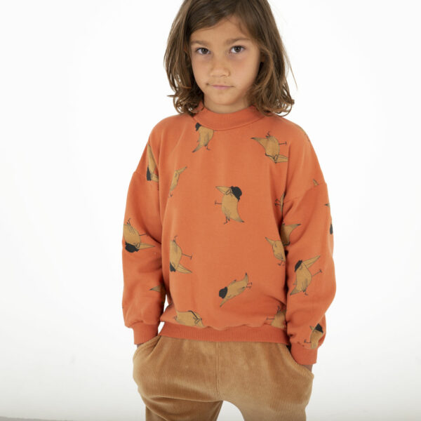 Lötie Kids Sweater orange Vögelchen